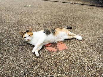 《真人快打》制作人下一款游戏要做“漫威大战DC”？